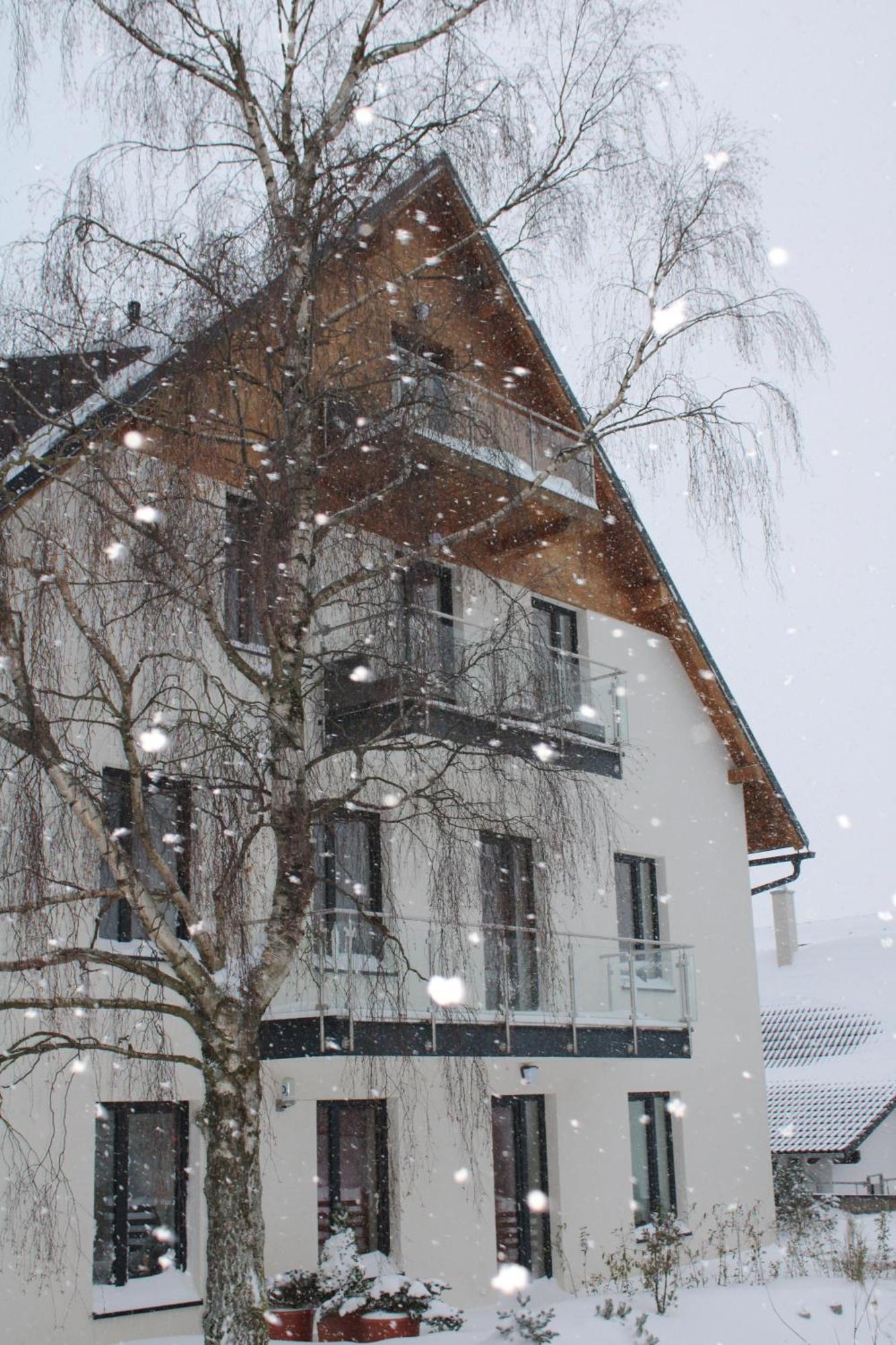 Ski Apartman Snowcat Abertamy Dış mekan fotoğraf